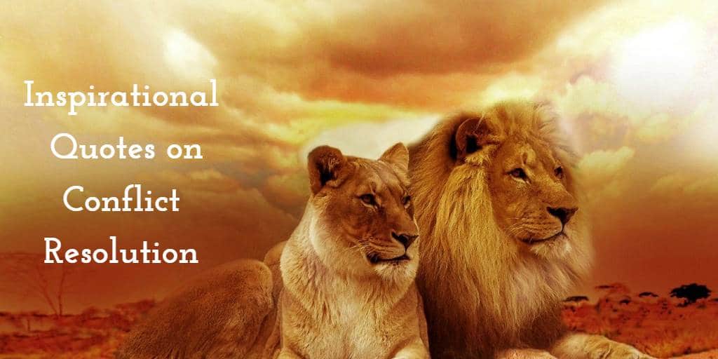 Before a solution can be found, or a conflict can be avoided altogether, the stakeholders need to be. 80 Inspirational Quotes On Conflict Resolution Tiny Positive