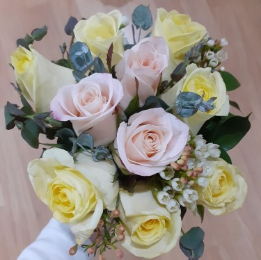 Check spelling or type a new query. 소상공인 희망회복자금 8월 17일부터 지급-중소벤처기업부