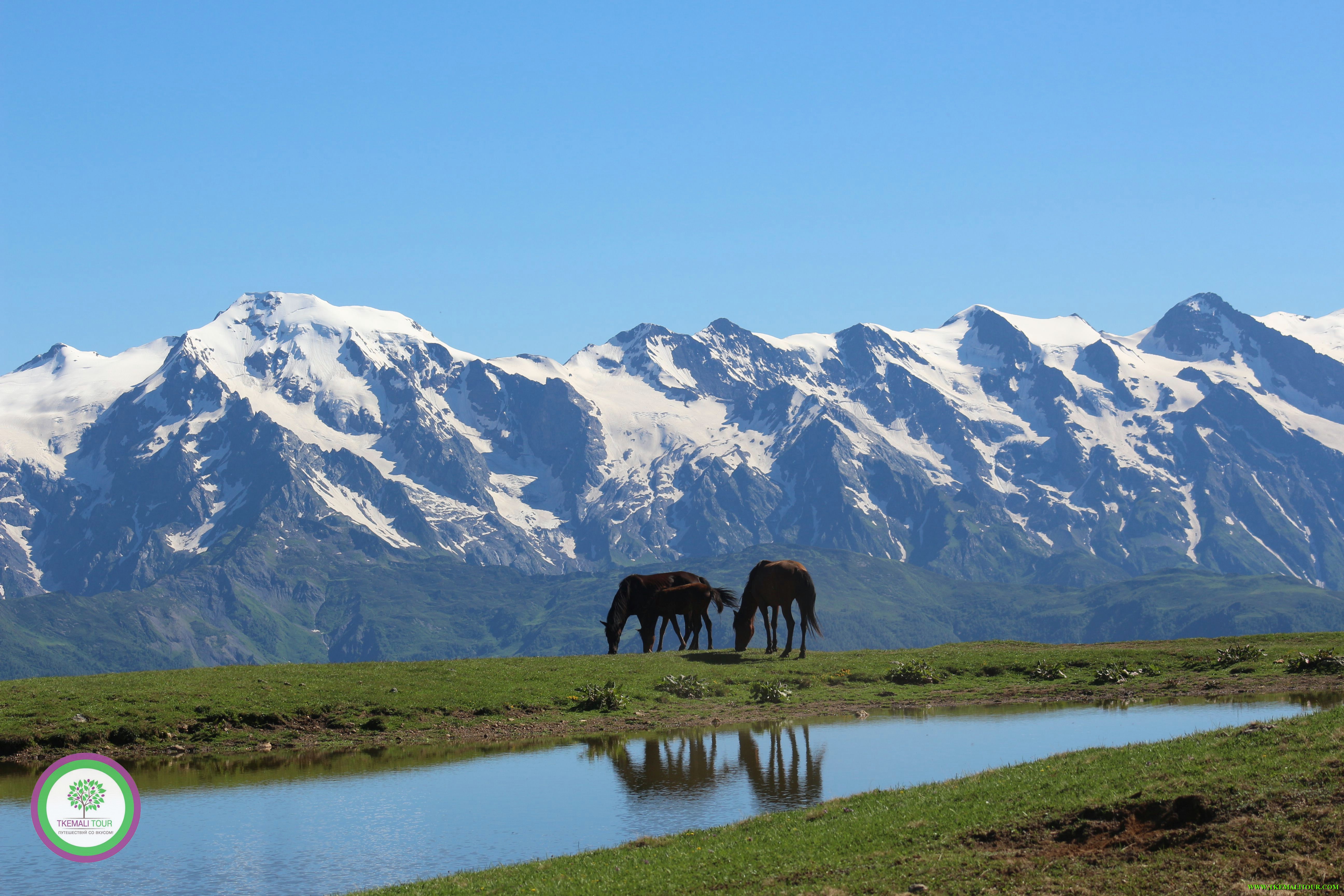 Geo paragliding company · 14 · 3. Svanetiya