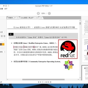 IceCream PDF Editor Pro v3.24 中文绿色便携版-硕谷新闻聚合