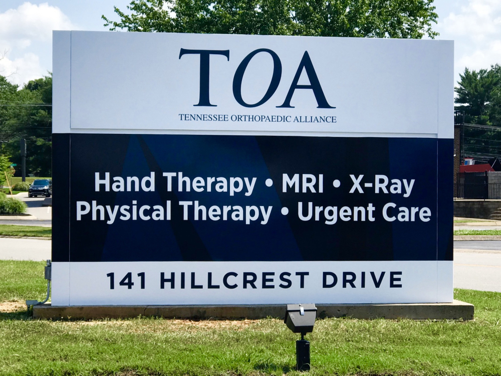 Wondering how to care for a cataractarum palm (​chamaedorea cataractarum​). Orthopedic Urgent Care Near Me Open Now - acne symptoms