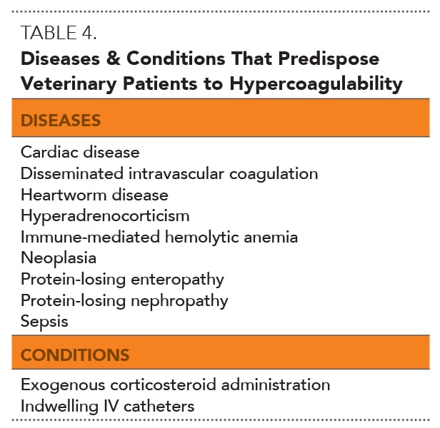 Acute respiratory distress syndrome (ards) refers to a condition of sudden respiratory failure due to fluid accumulation and severe . Approach To Respiratory Distress In Dogs Cats Today S Veterinary Practice