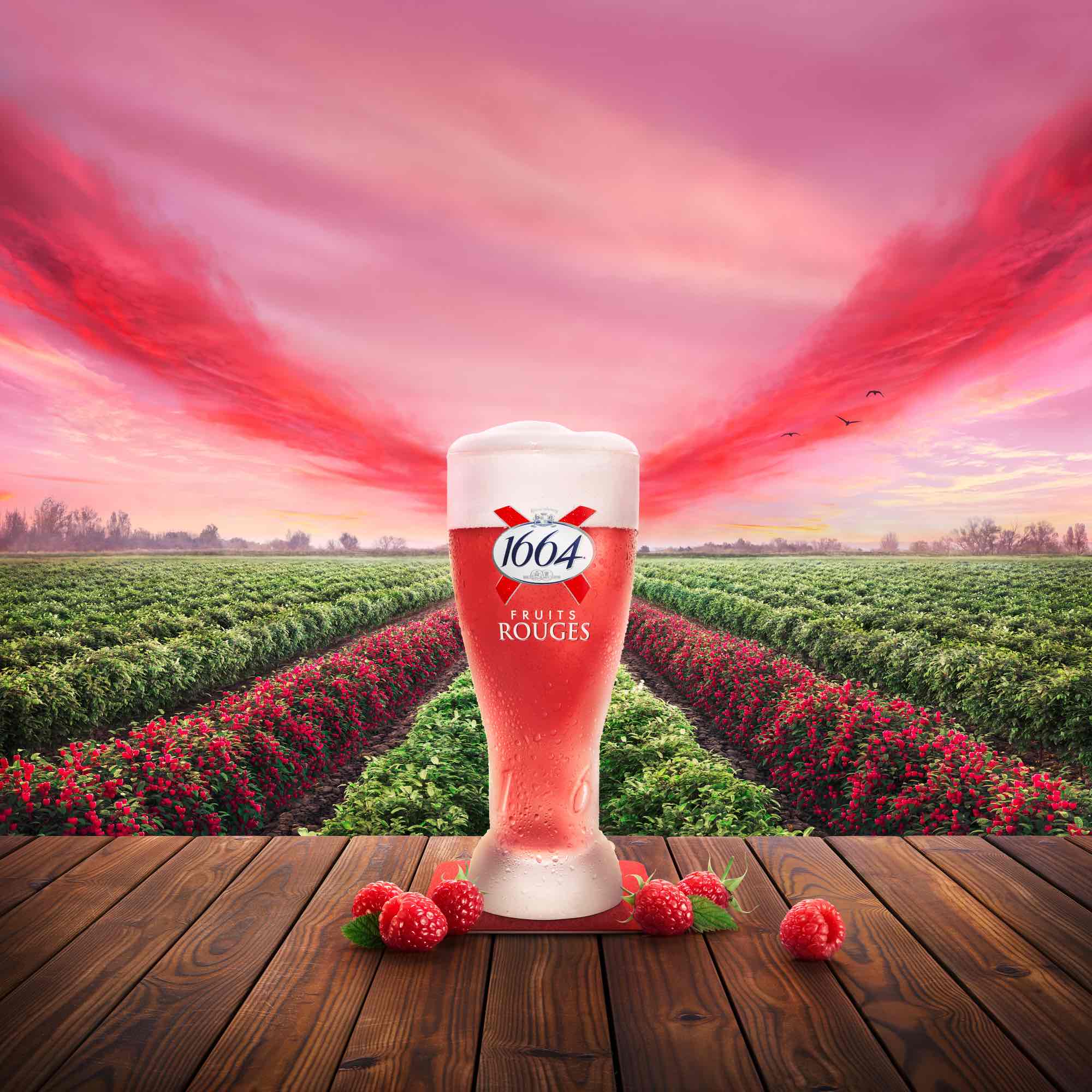 Couche Tard Biere Couch Collection