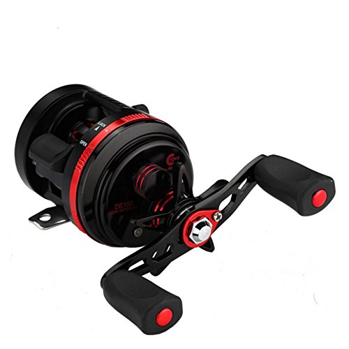 Types of Fishing Reels - A Beginner's Guide