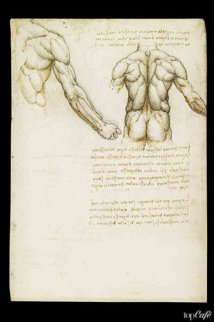 Rzadkie Rysunki Leonarda Da Vinci Leonardo Da Vinci