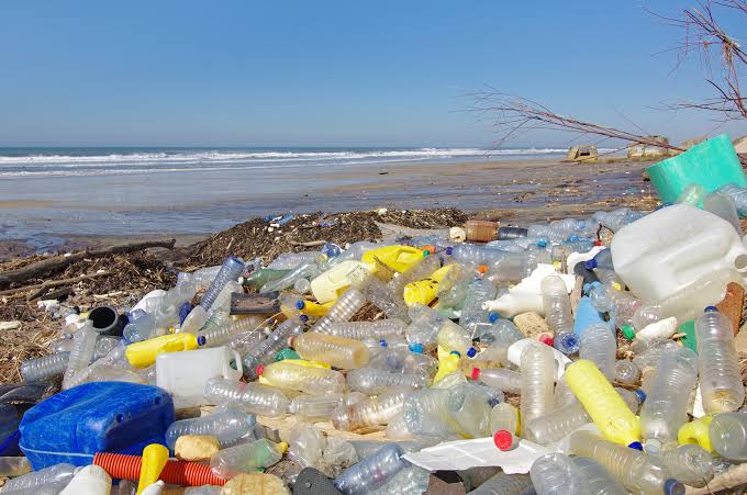 Mau Kurangi Sampah Plastik? Coba 5 Opsi Kemasan Makanan Ini – TopCareerID