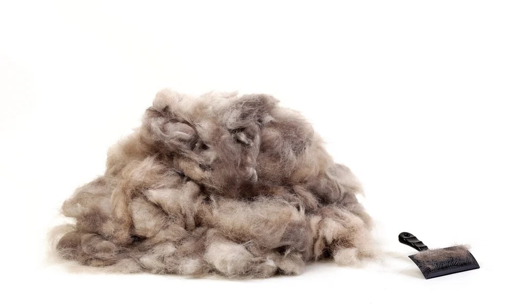Beautiful view of Fast-Ways-To-Reduce-Shedding-In-Dogs