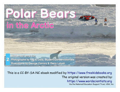 Polar Bears In The Arctic