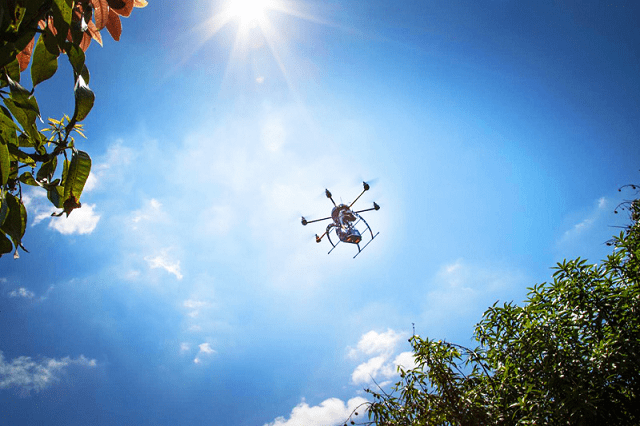 Tree service companies take care of problems related to trees in urban, rural and forest settings. Using GPS Drones for Tree Planting Now Feasible - Trackimo
