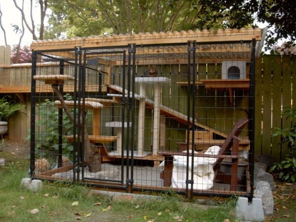 best catio designs