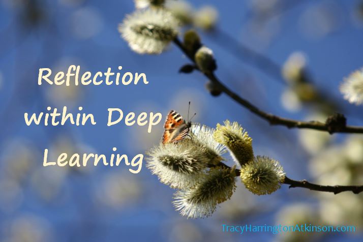 Reflection within Deep Learning - Paving the Way