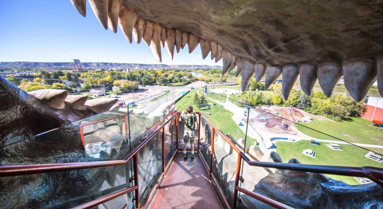 New orleans is known as the heart of jazz music world over. Amusement Parks | Travel Drumheller