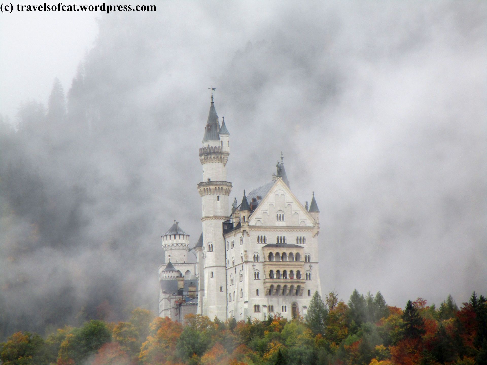 Neuschwanstein Cunoscut Drept Castelul Frumoasei Din PÄdurea AdormitÄ Travels Of Cat