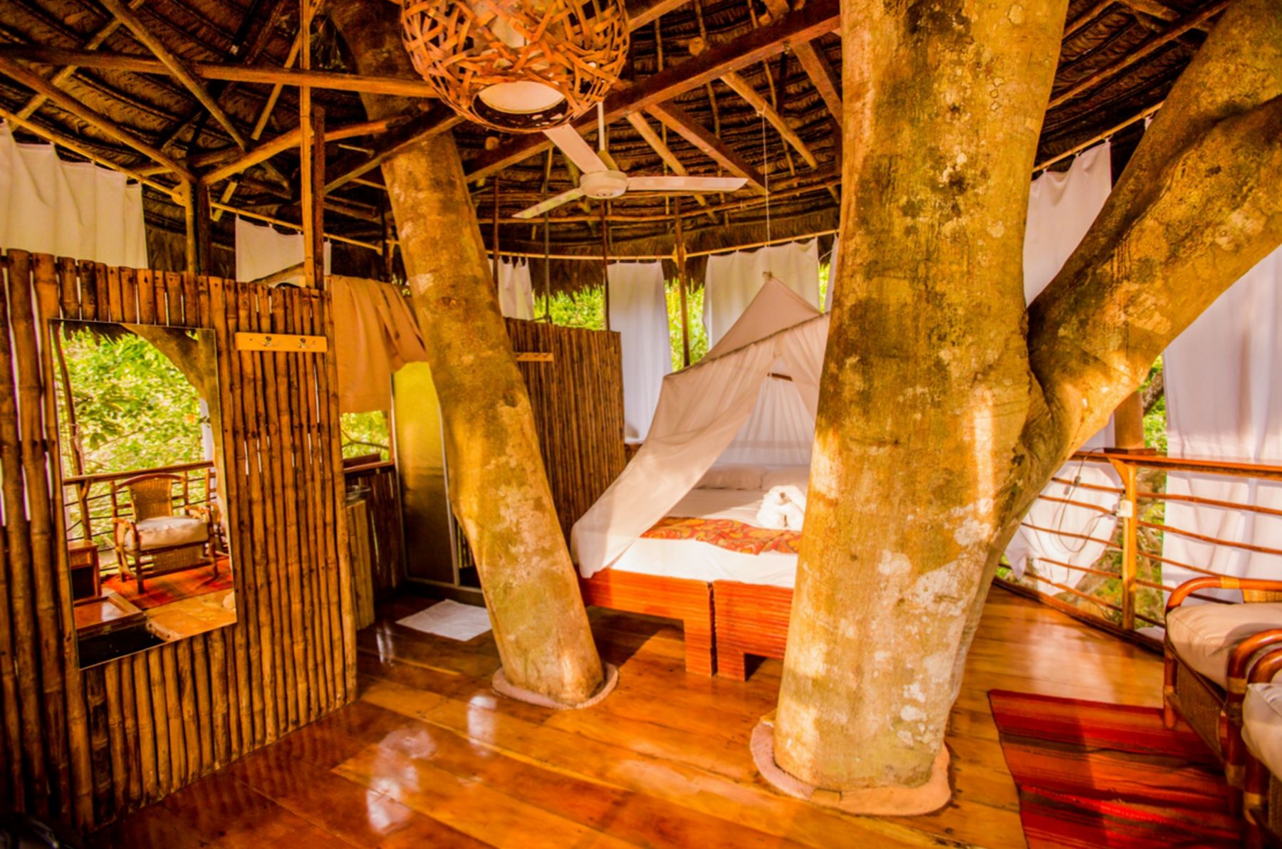 Gallery of Incredible Amazon Images Treehouse Lodge