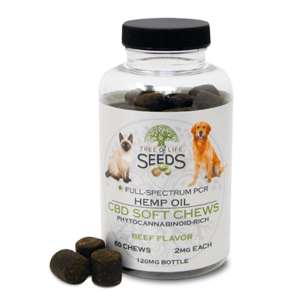 cbd pet chews