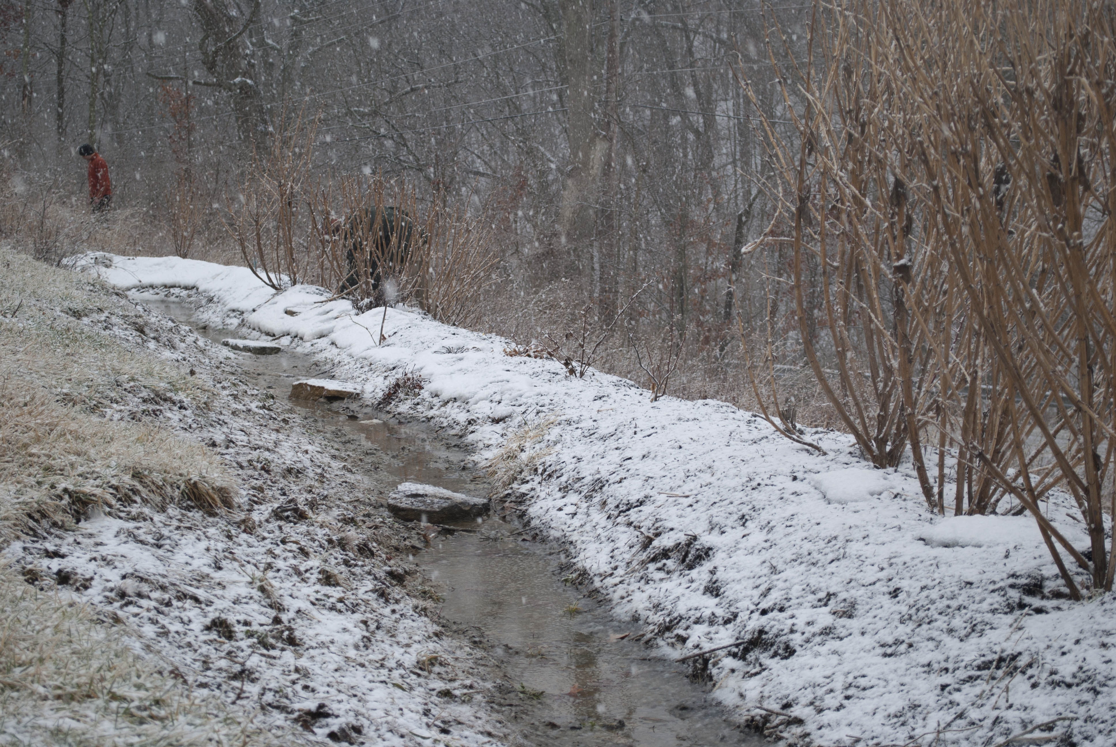 2011 Weekend Pdc In Cincinnati Ohio Usa Treeyo Permaculture