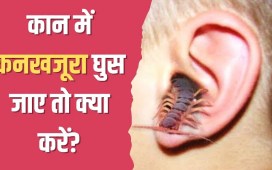 कान में कनखजूरा घुस जाए तो क्या करें? योग गुरु कैलाश` बिश्नोई ने बताया इस एक काम को करने पर तुरंत आ जाएगा बाहर