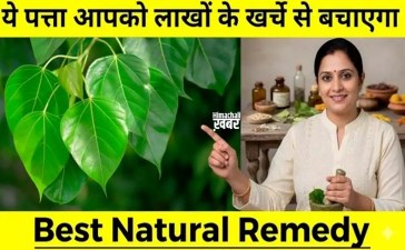 सुबह खाली पेट सिर्फ 1 पत्ता आपको` लाखों के खर्चे से बचाएगा | बुढ़ापे तक शरीर मजबूत, निरोगी बना रहेगा