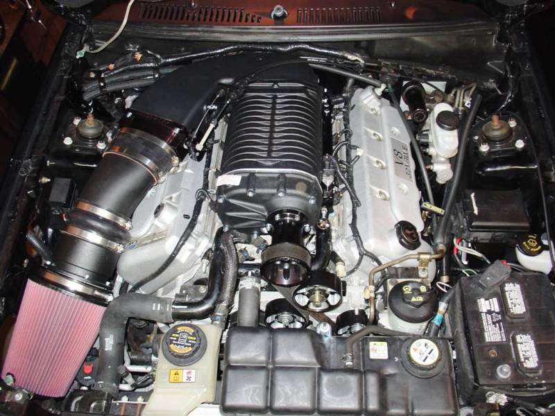 They are darn near half the price of the march kit for the sbf that i was looking at. Whipple Ford Mustang SVT Cobra 4.6L 2003-2004 Supercharger