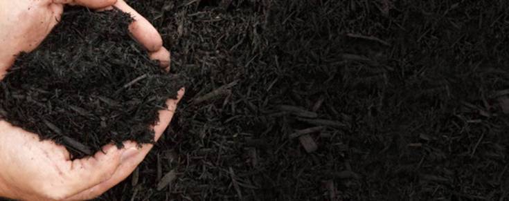 We help gardeners find free wood chip mulch near them. Triple Five Quality Wood Inc