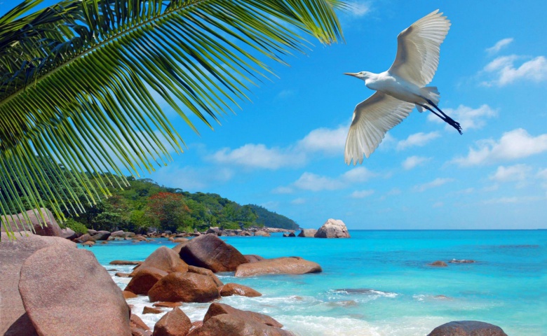 Гостиница «националь», расположенная в самом центре города, — одна из старейших действующих гостиниц в москве. Ekskursiya Ekskursiya V Nacionalnyj Morskoj Park Svyatoj Anny Cena 138 Eur Otzyvy I Opisanie Ekskursii Na Tripsi Gids