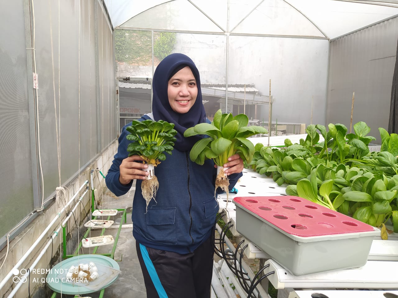 belajar hidroponik surabaya