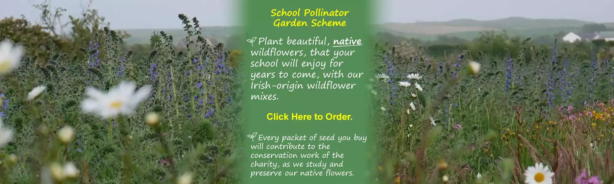 If you are seeking seeds for a charitable project or school, you may be able to . True Harvest Seeds Wildflower Seed Ireland Online Shop