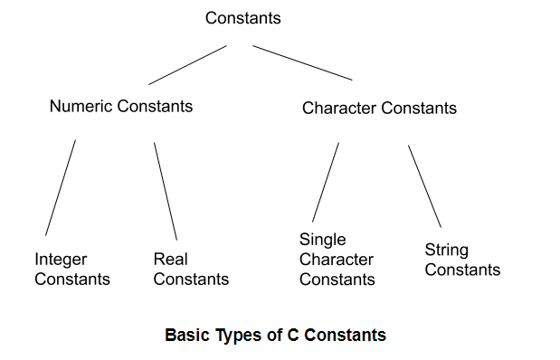 Different C Constants With Example - Tutorialwing