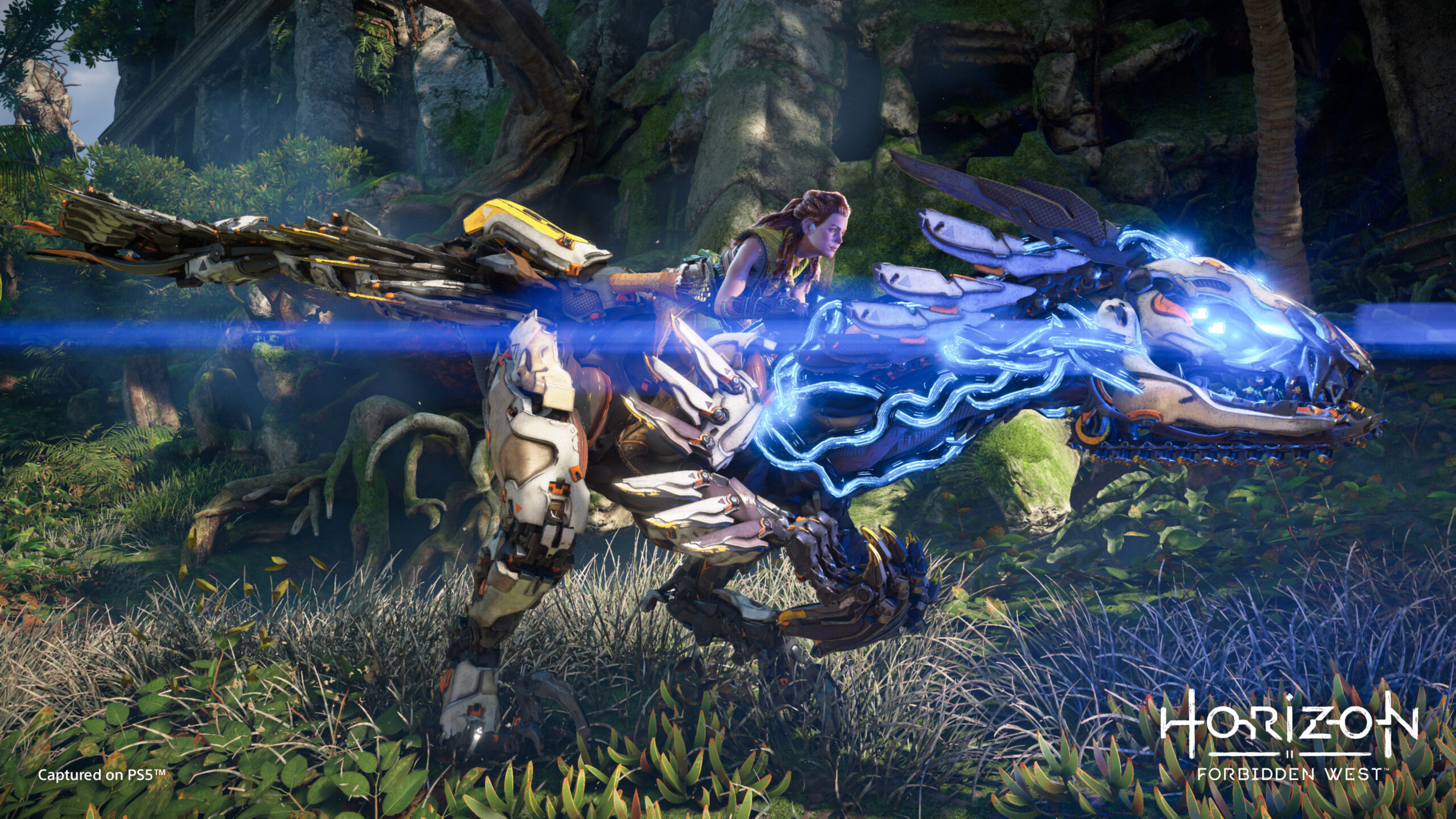 Researching and purchasing a new or used golf cart to take around on the green can be exciting. Horizon Forbidden West World Map Estimate Shows Aloy Will Travel Far