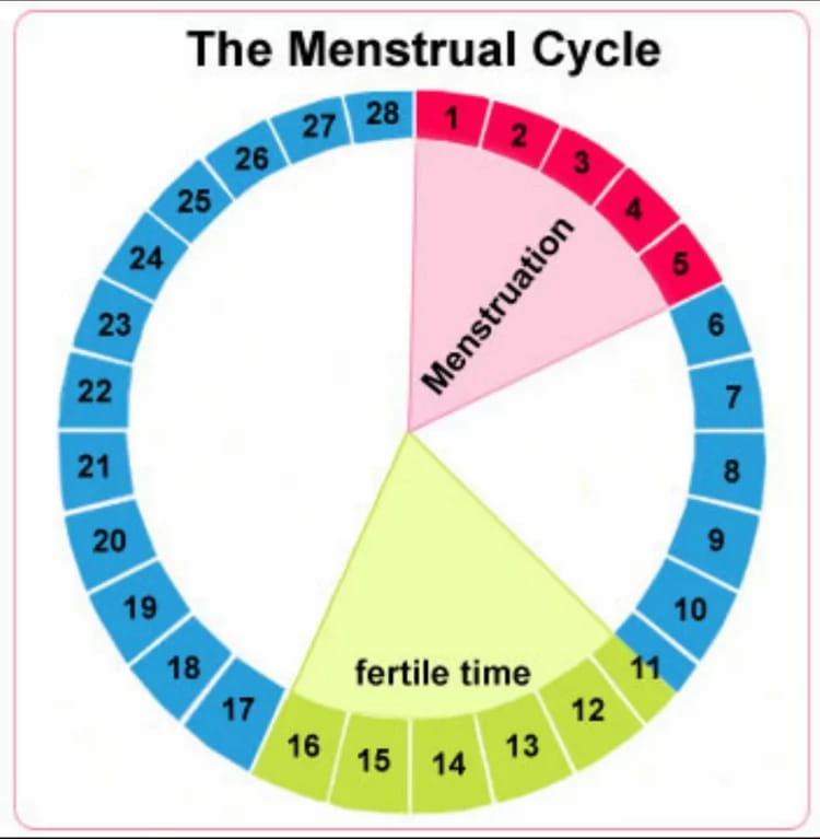 pics Ovulation Calculator For Boy 2019 entertainment gist gossip mix tapes instrumental news hub music video and so much more wordpress com