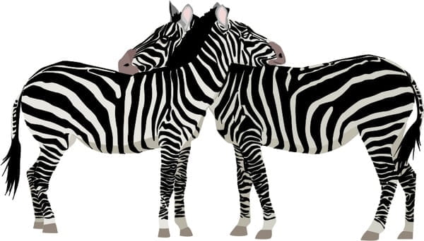 The east bay regional park district is hosting its 10th annual day of service . Pola Zebra Ai Uidownload
