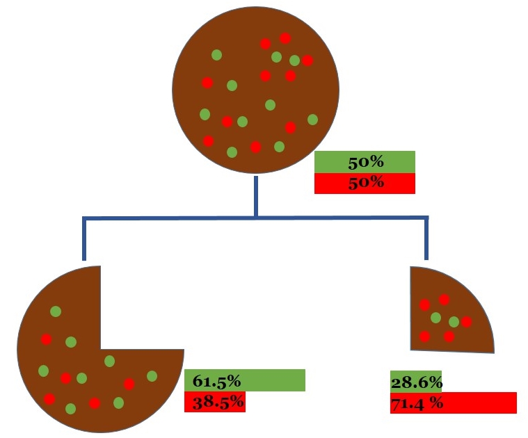 Decision Tree (CART) - Retail Case Study Example