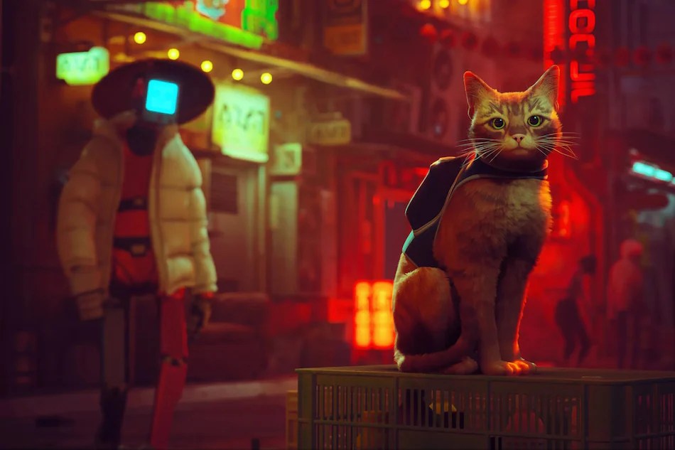 Cat Adventure Game Stray Reportedly Coming to PS Plus Essential in November | Udaipur Kiran