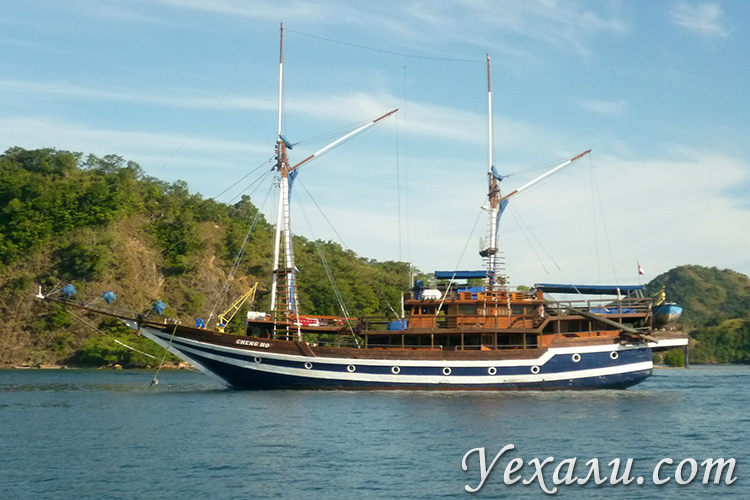 То не было мест, не смотря на высокую стоимость, . Gde I Kak Zakazyvat Ekskursiyu V Nacionalnyj Park Komodo V Labuan Badzho