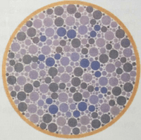 Semoga video ini bisa jadi referensi . Latihan Buta Warna Ujian Kpp