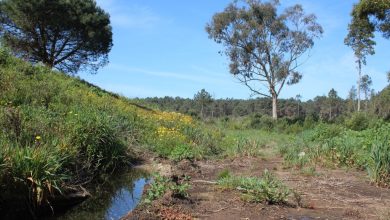 Aterro sanitário de Maceda ameaça contaminar orla costeira Aterro sanitário de Maceda ameaça contaminar orla costeira