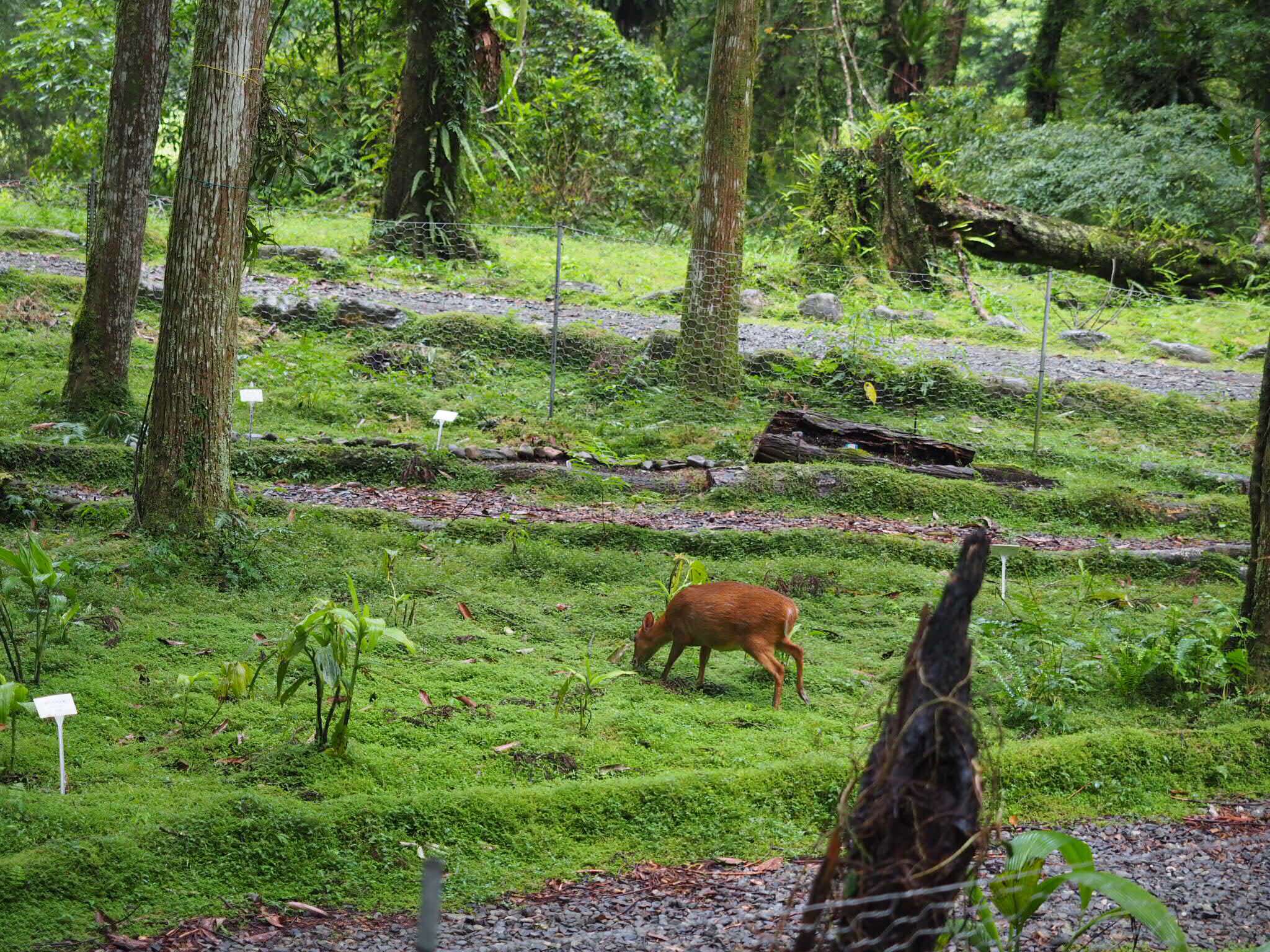 人間仙境之福山植物園