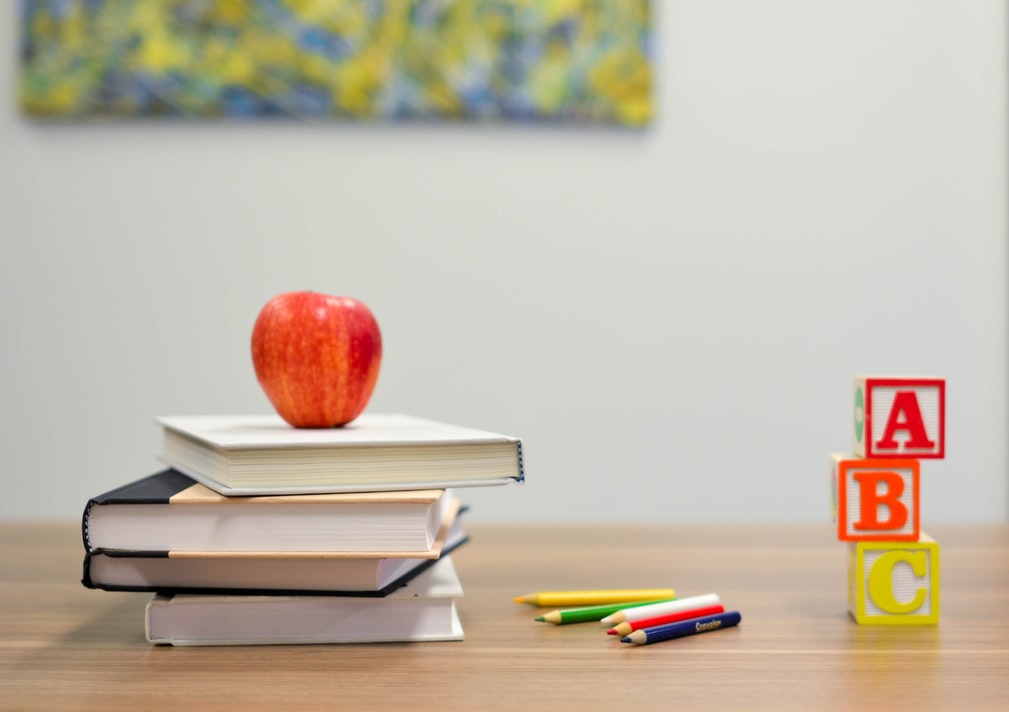 Formazione Primaria O Educazione? Le Differenze - Uniperte 712_x_1009_jpg