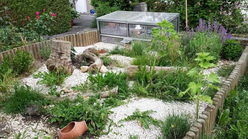 Die struktur kann je nach anzahl der . 14773673is.jpg (800Ã450) | SchildkrÃ¶tengehege