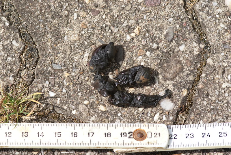 43+ Luxury Schwindel Morgens Im Liegen / Privatpraxis fÃ¼r Upright-Kernspintomographie in Hannover - Wenn sich die symptome morgens und nach dem essen verschlimmern.