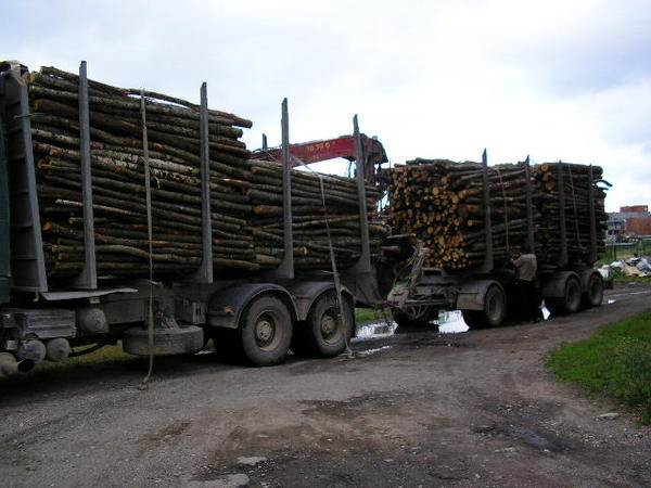 Holzbriketts haben aufgrund ihres geringen feuchtigkeitsanteils einen hohen heizwert. Brennholz aus dem Ausland â¢ Landtreff