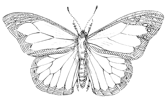 Spiritualwiki Leerheit