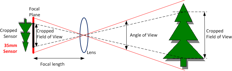 Do I need to upgrade to a full frame DSLR? What I see, How I see...