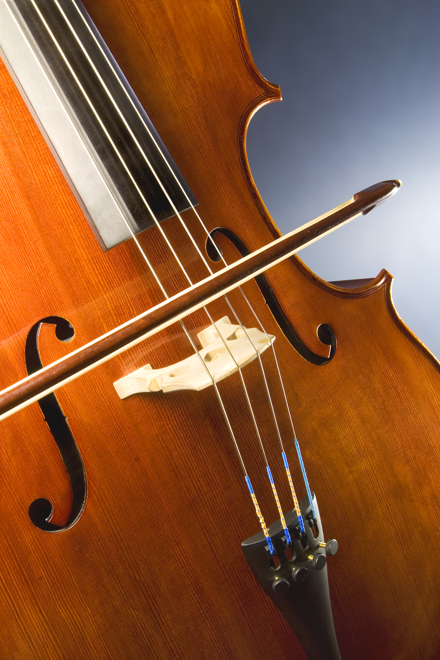 File Cello Study Jpg Wikimedia Commons