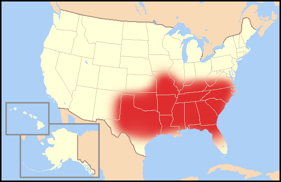 Evangelicalism Wikipedia