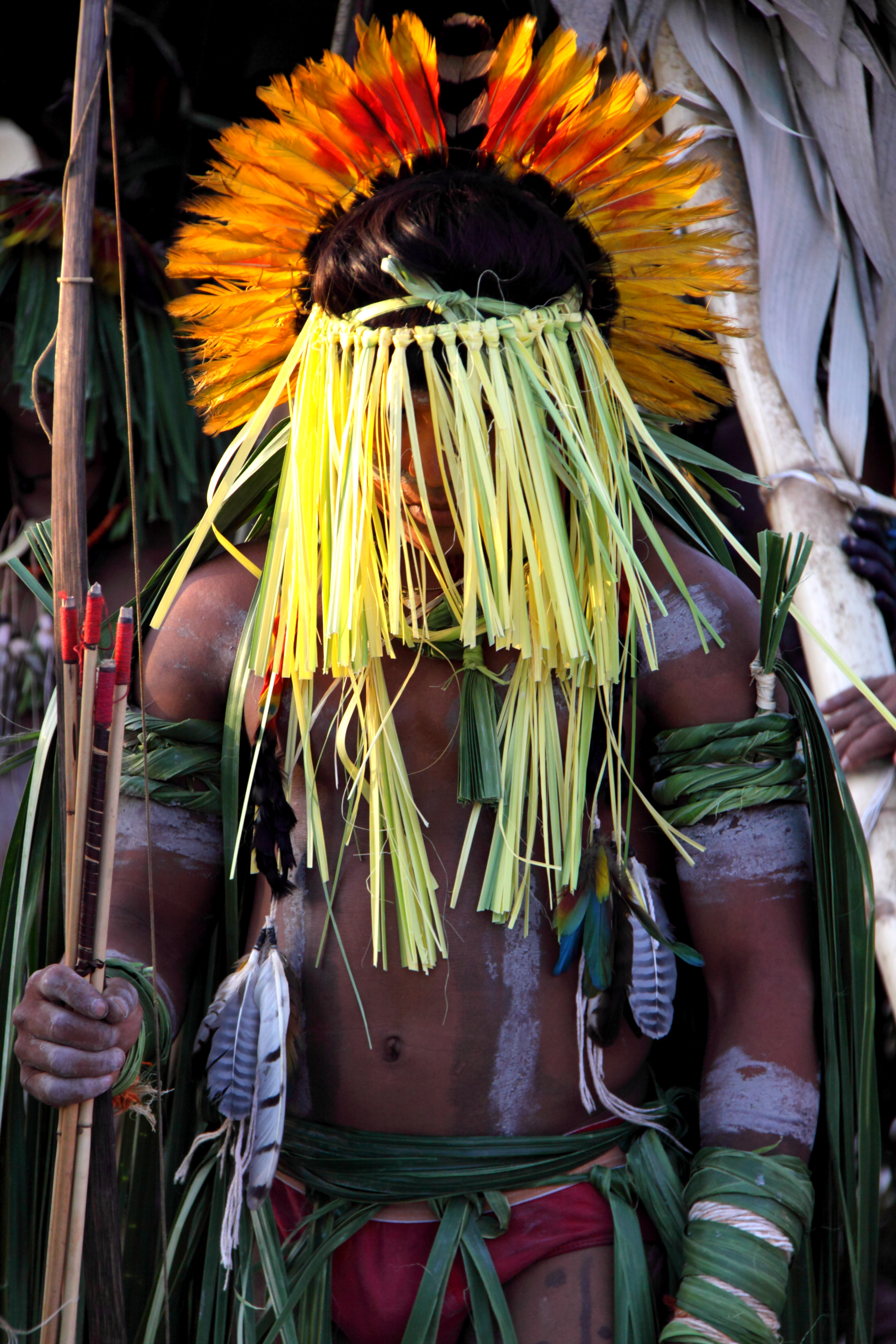 Enawenê-Nawê - Wikipedia 4752_x_3168_jpg