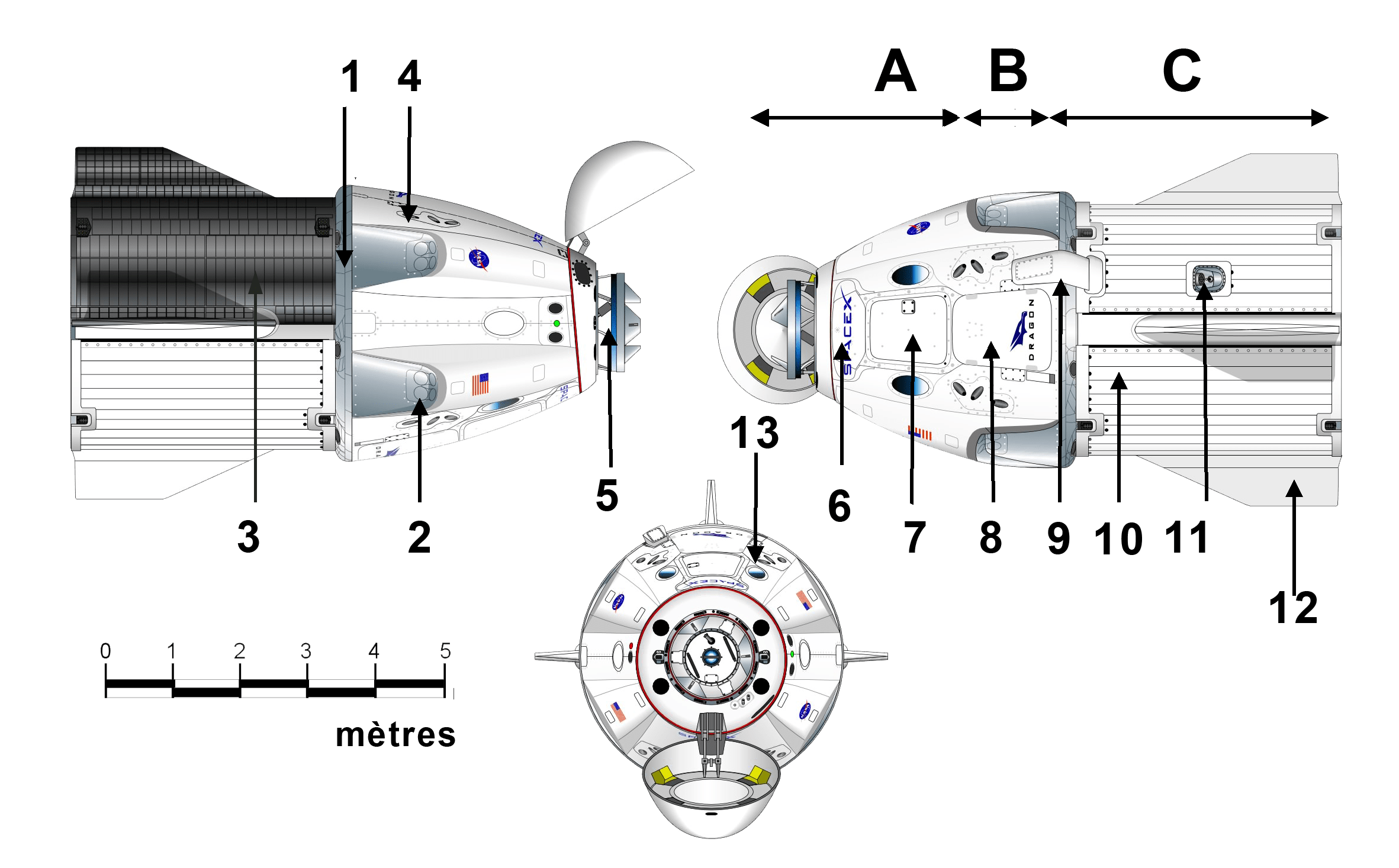 Zangya has long, curly orange hair, bluish skin, blue eyes, and pointed ears. File Crew Dragon Drawing Png Wikimedia Commons