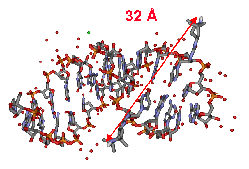 Rna Wikipedia