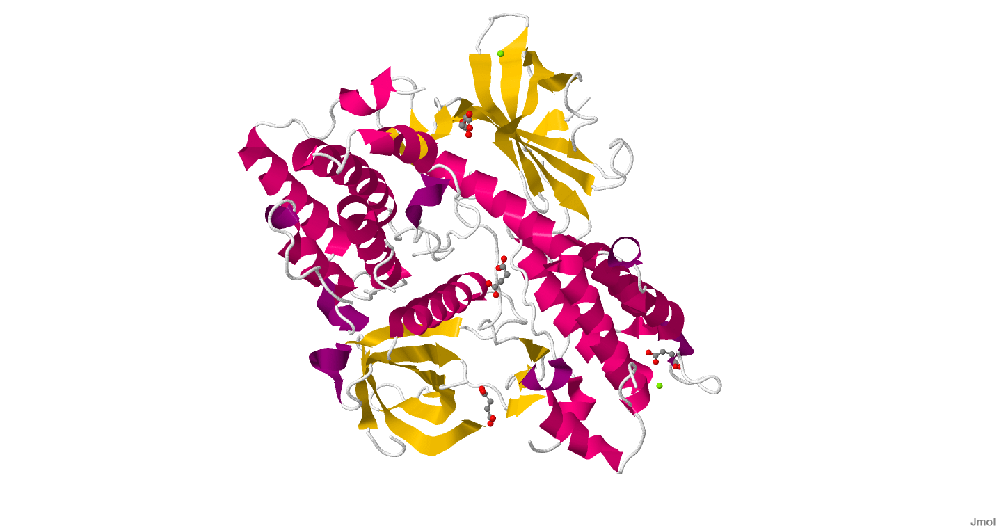 Gak in the dark will totally glow your mind! Gak Protein Wikipedia