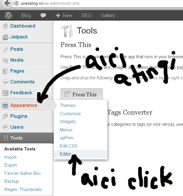 Editare tema WordPress